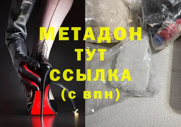 прущие грибы Алзамай