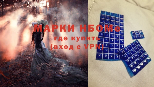 прущие грибы Алзамай