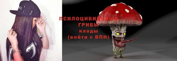 кокс Алексин