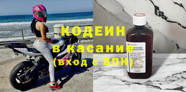 прущие грибы Алзамай