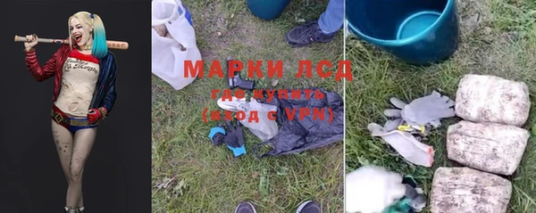 прущие грибы Алзамай
