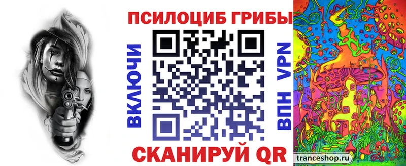 нарко площадка телеграм Алзамай Галлюциногенные грибы мицелий